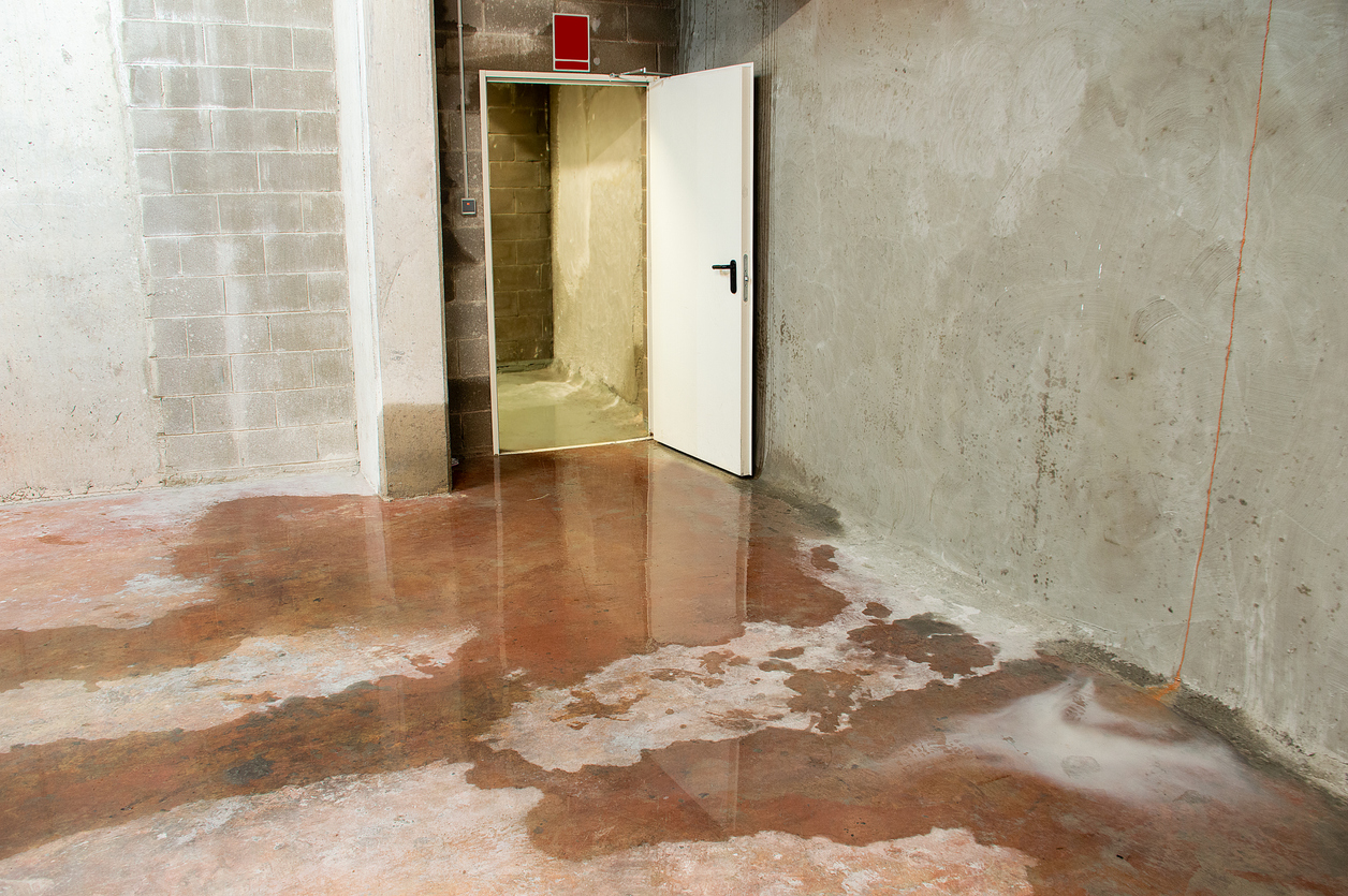 Basement water damage restoration