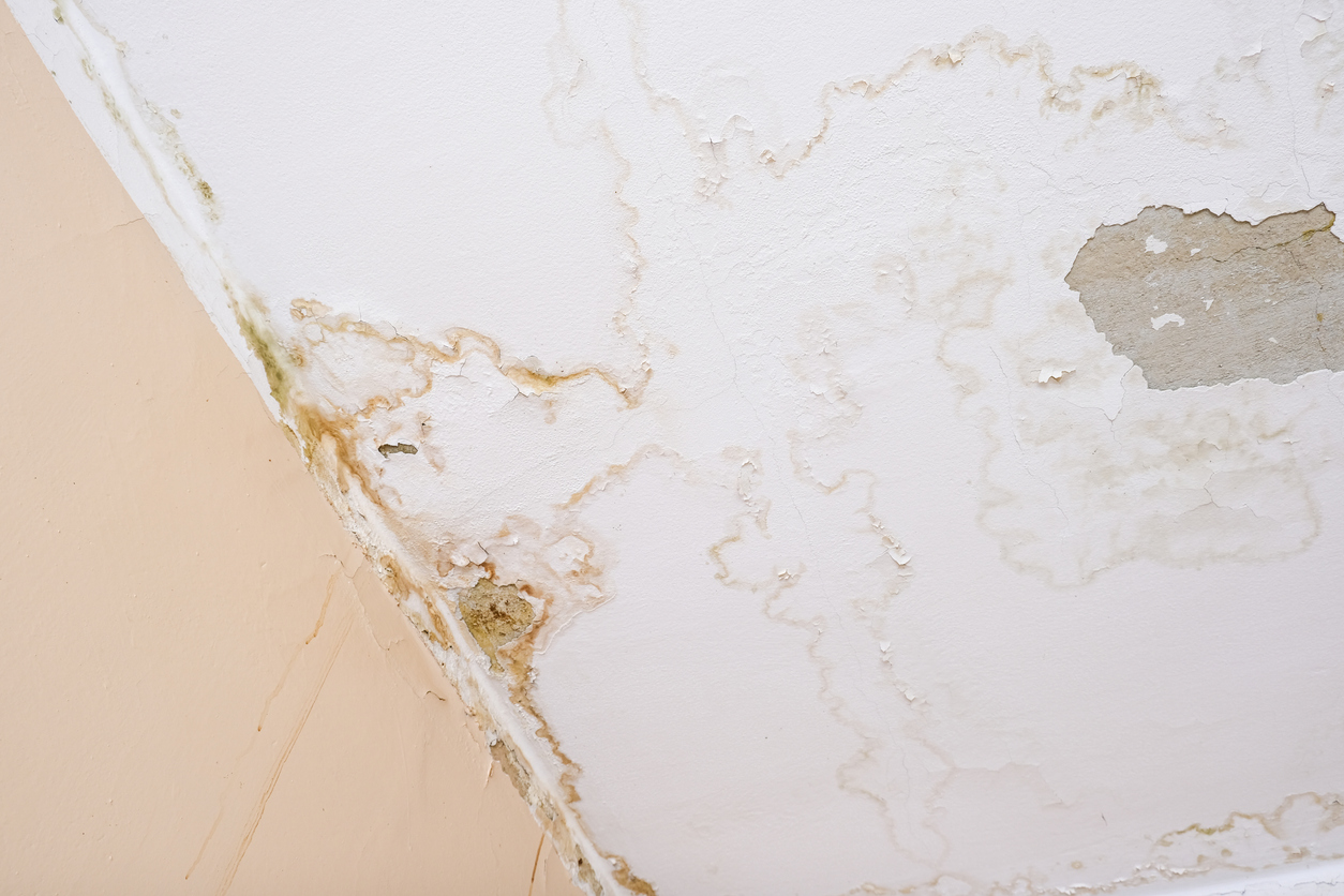 Technician inspecting water damage with moisture detection equipment