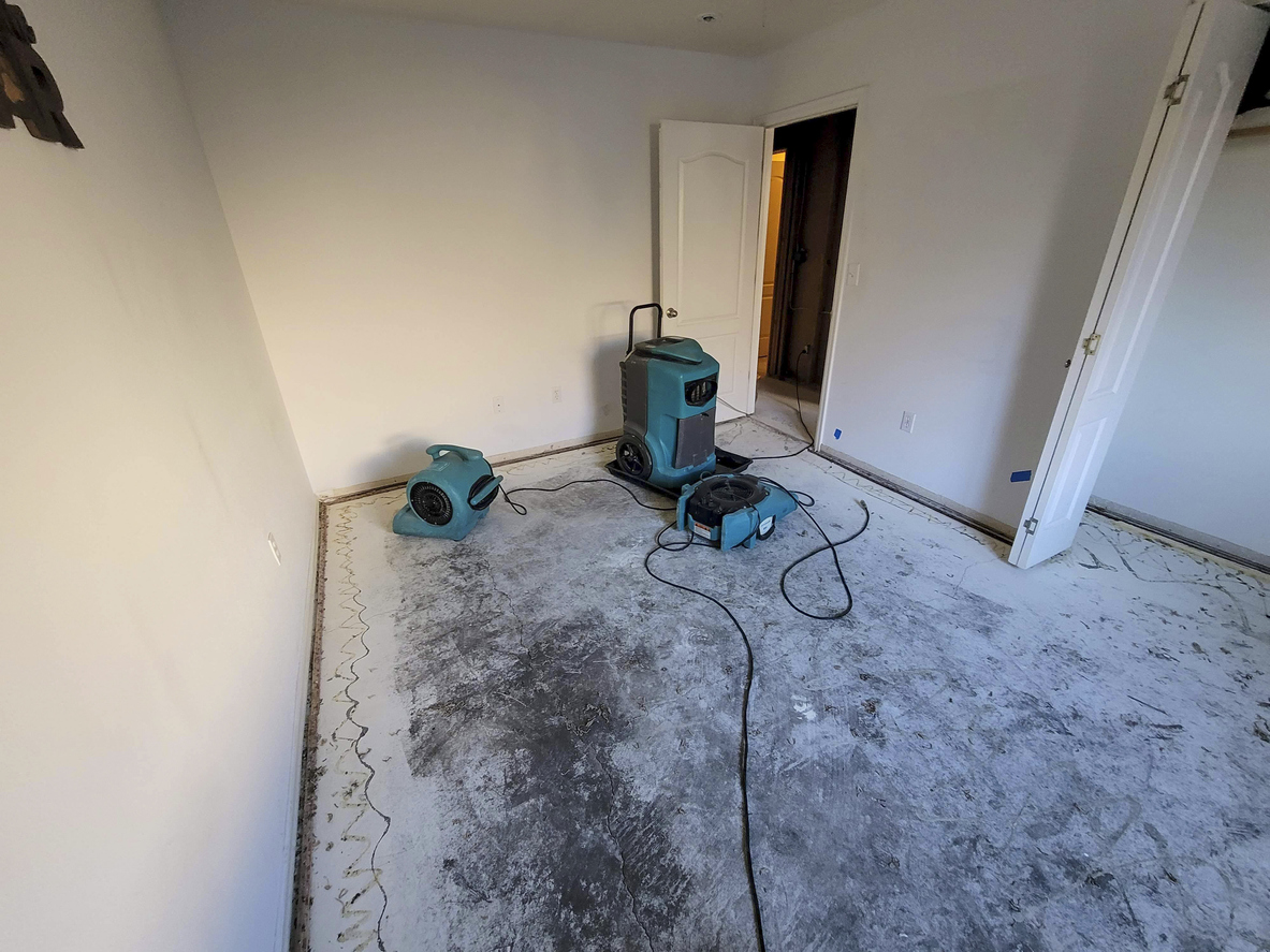 First 24 hours after water damage