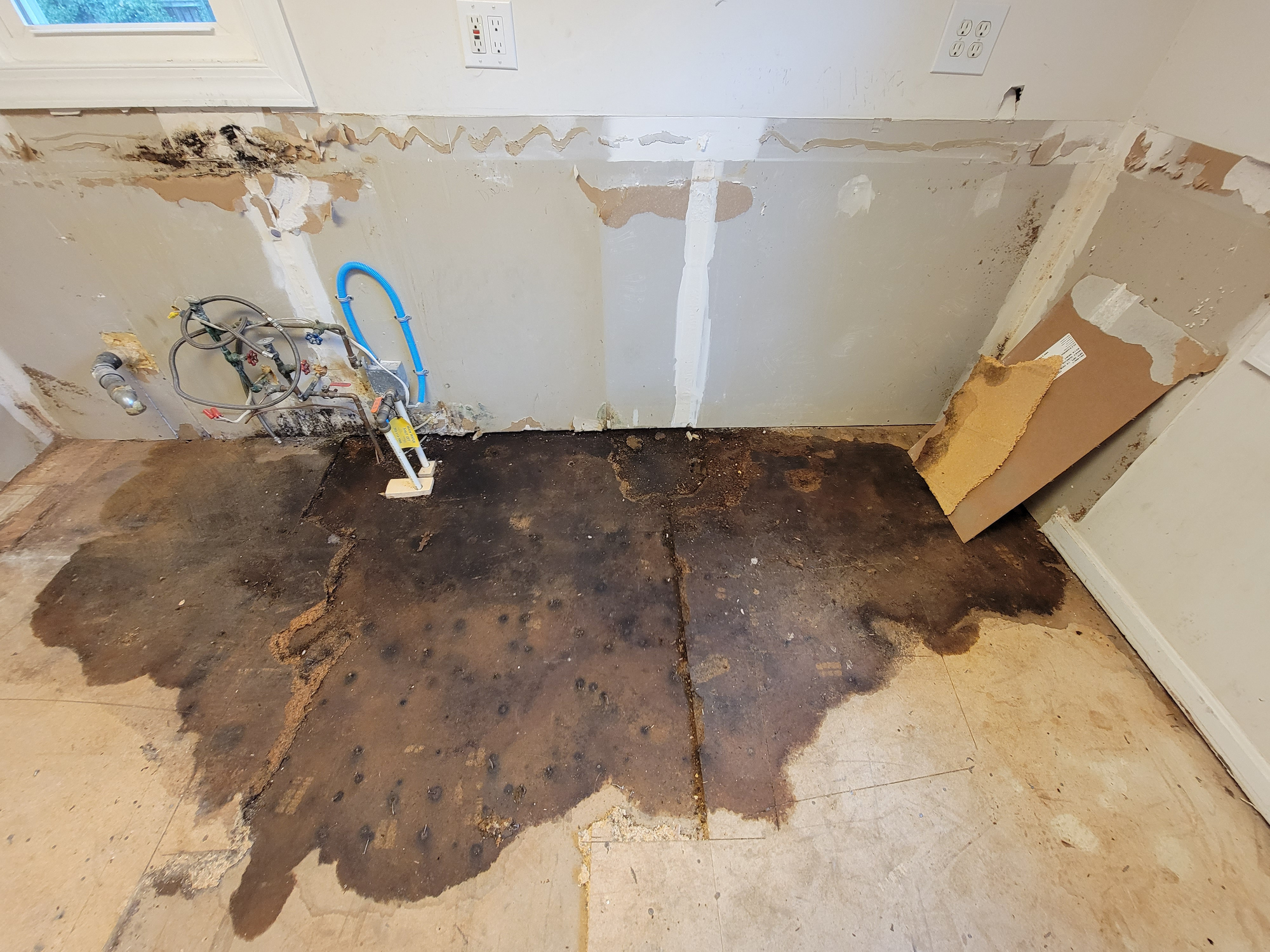 7 signs of hidden water damage