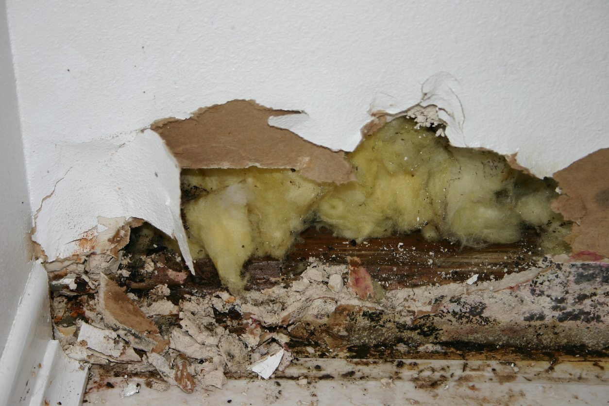 Water damage restoration