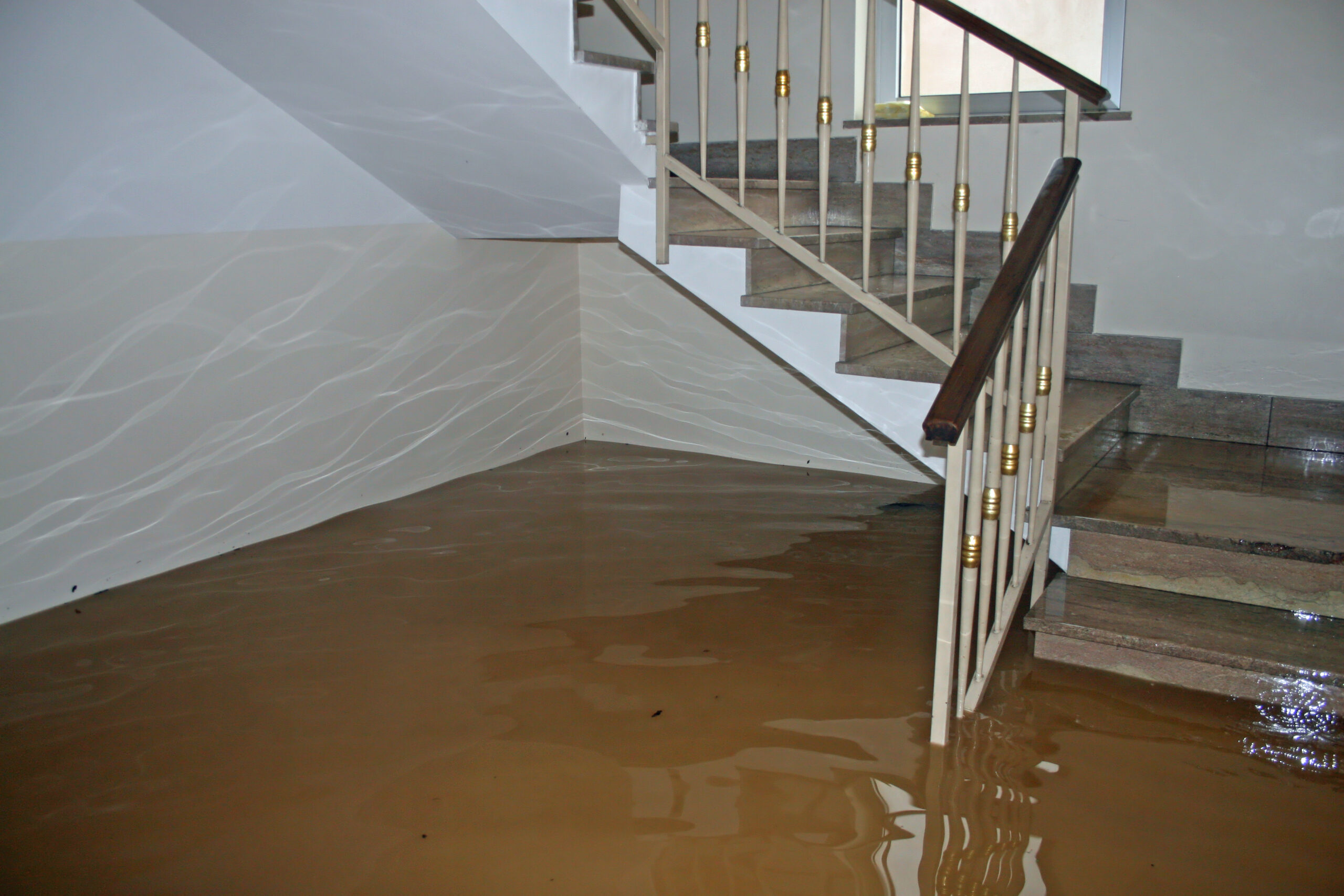 Flood damage cleanup