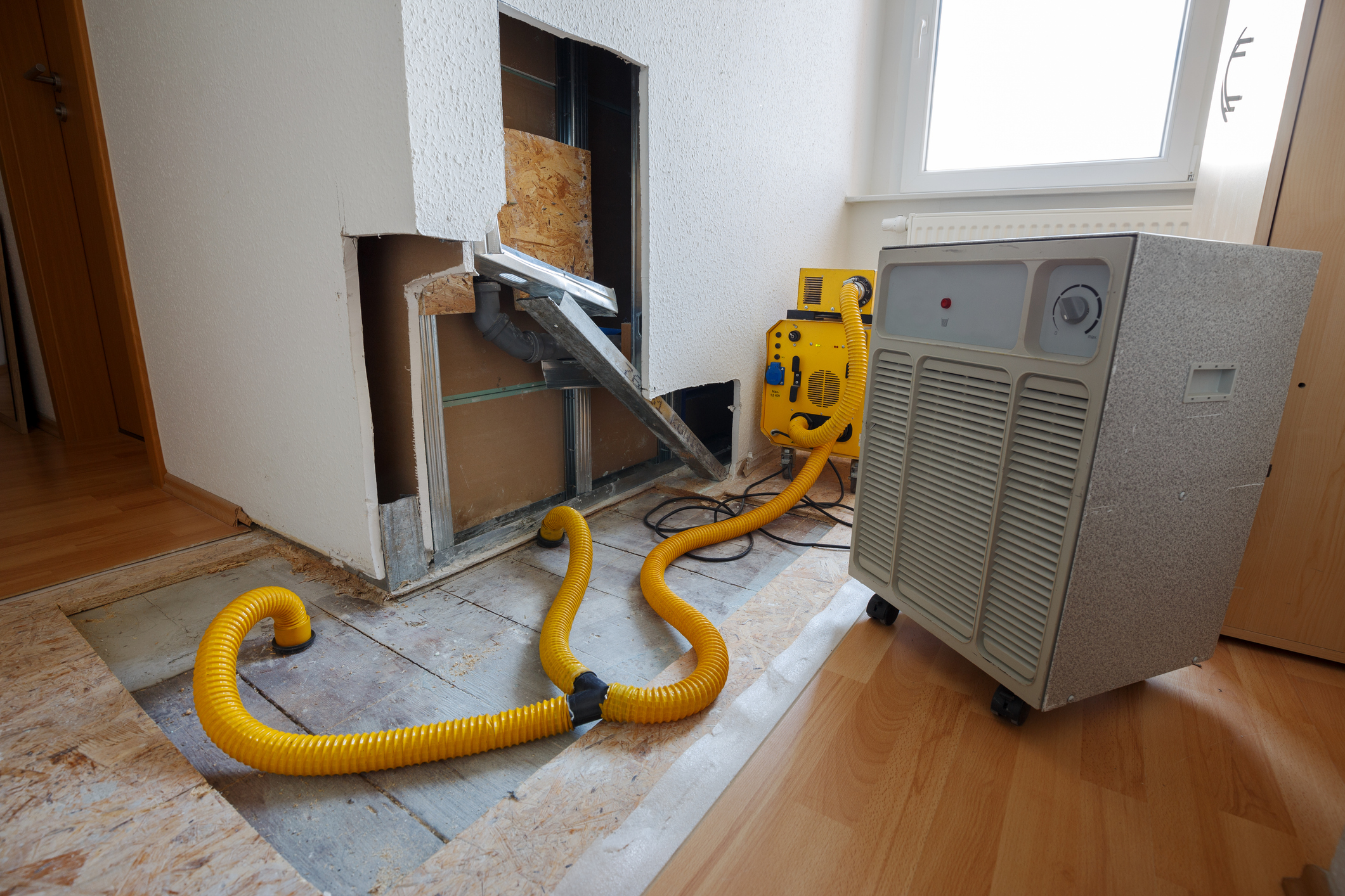 Mold prevention and moisture control services