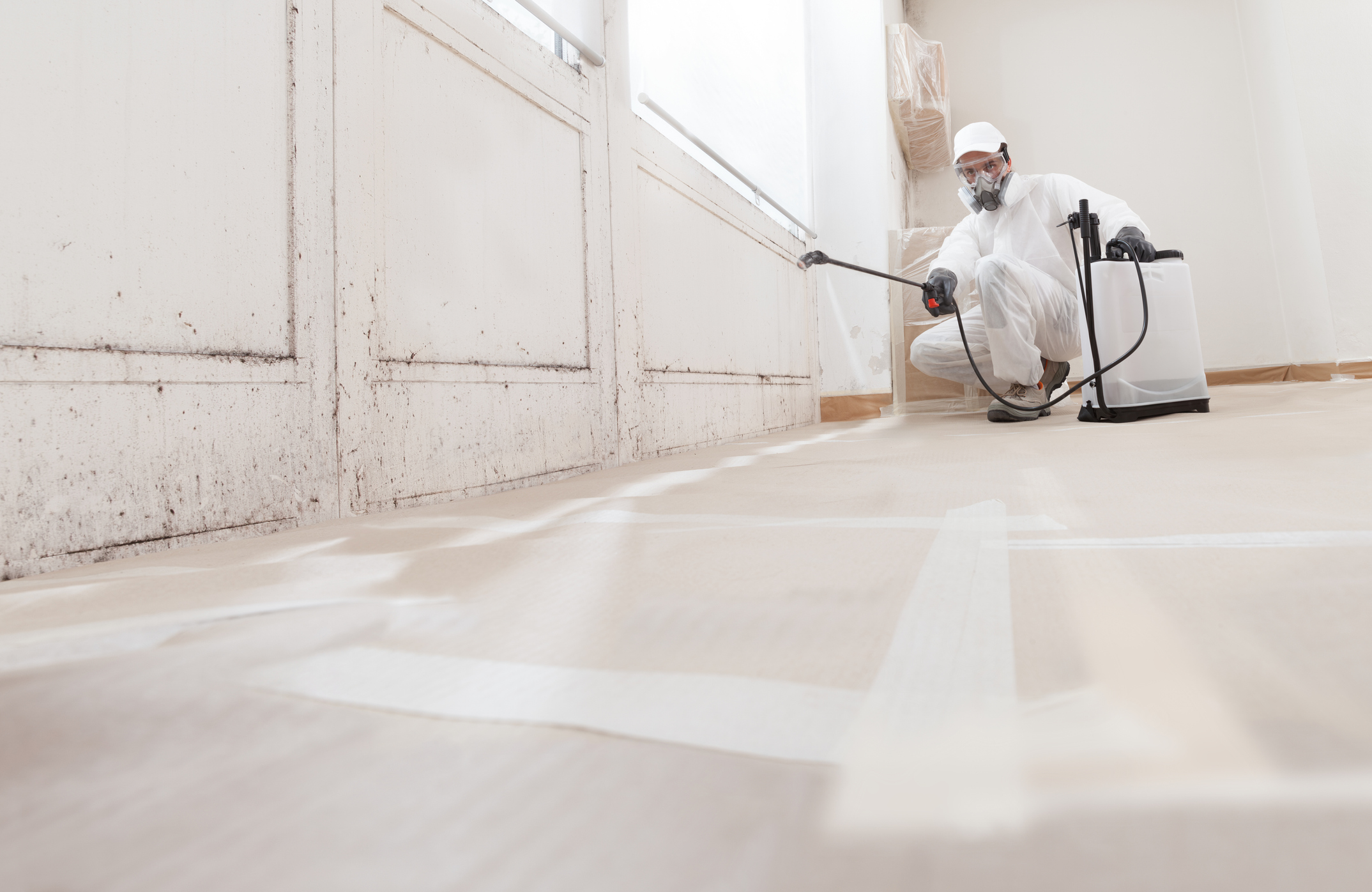 Mold remediation professionals in containment area