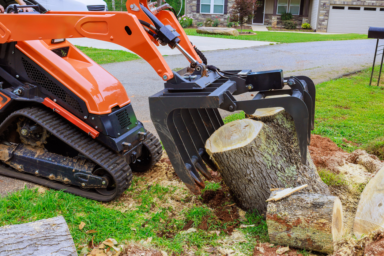 Crew removing fallen tree from residential property