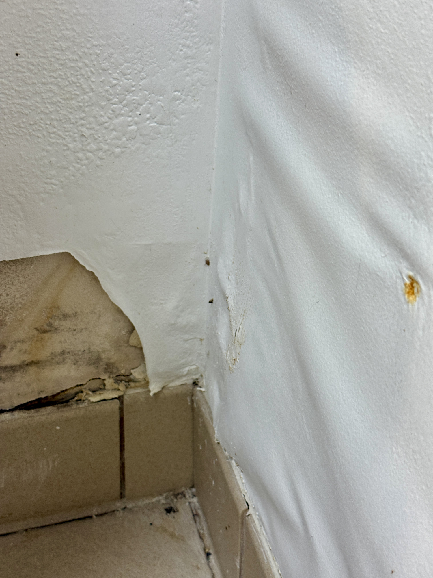 Water damaged flooring and walls