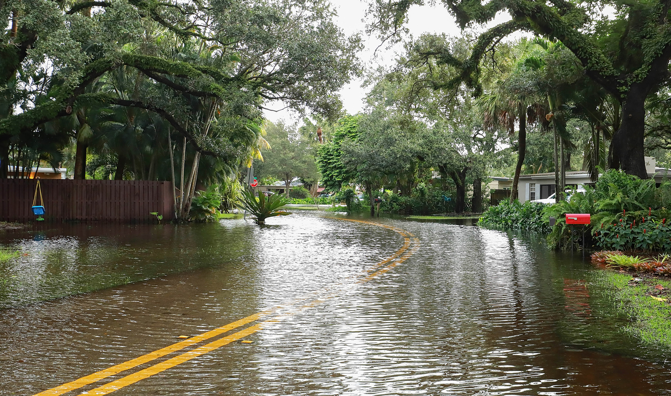 Summer storm water damage