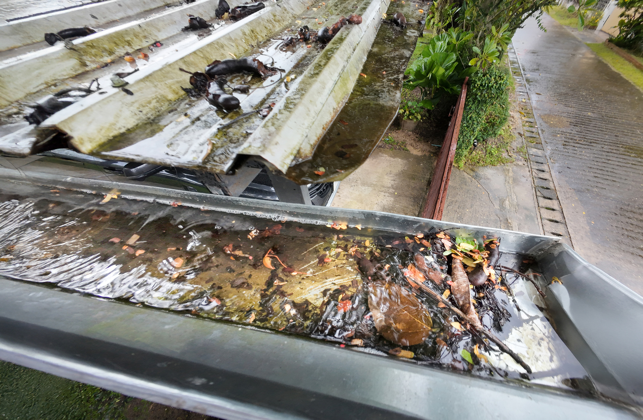 Overflowing gutter during heavy summer rain
