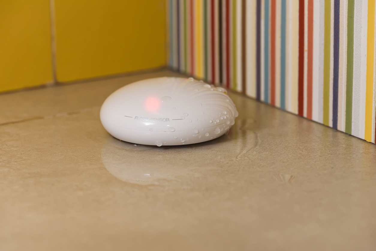 Remote property monitoring
