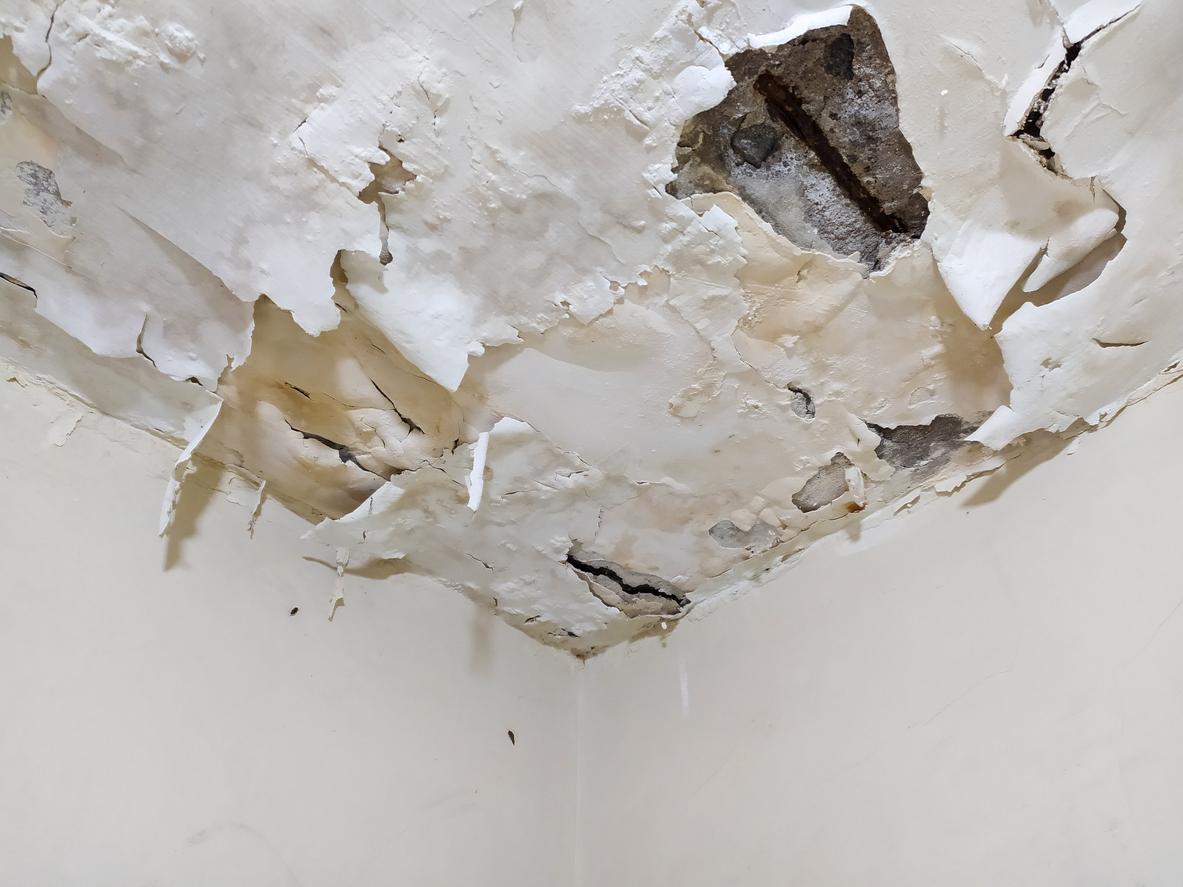 Water damaged ceiling with peeling drywall from delayed restoration