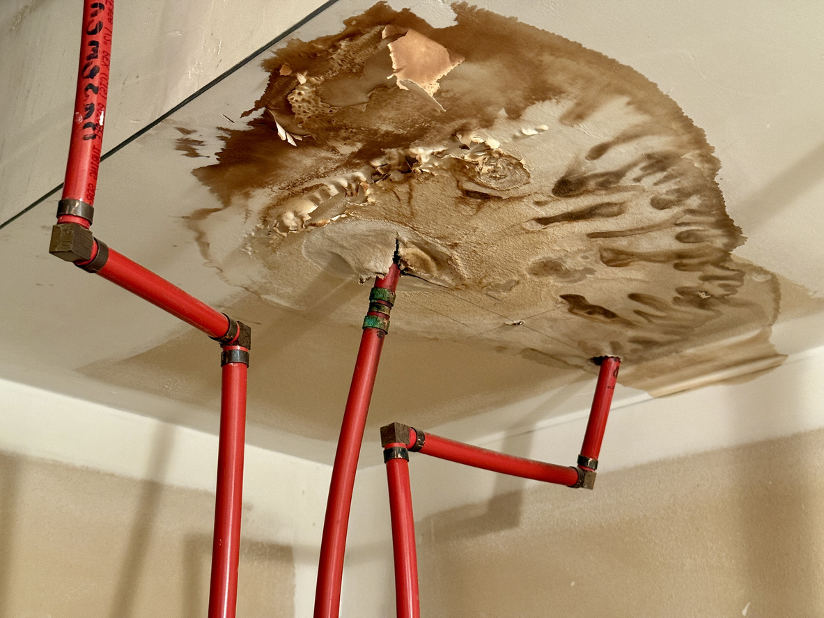 Water stain and damage visible on interior drywall